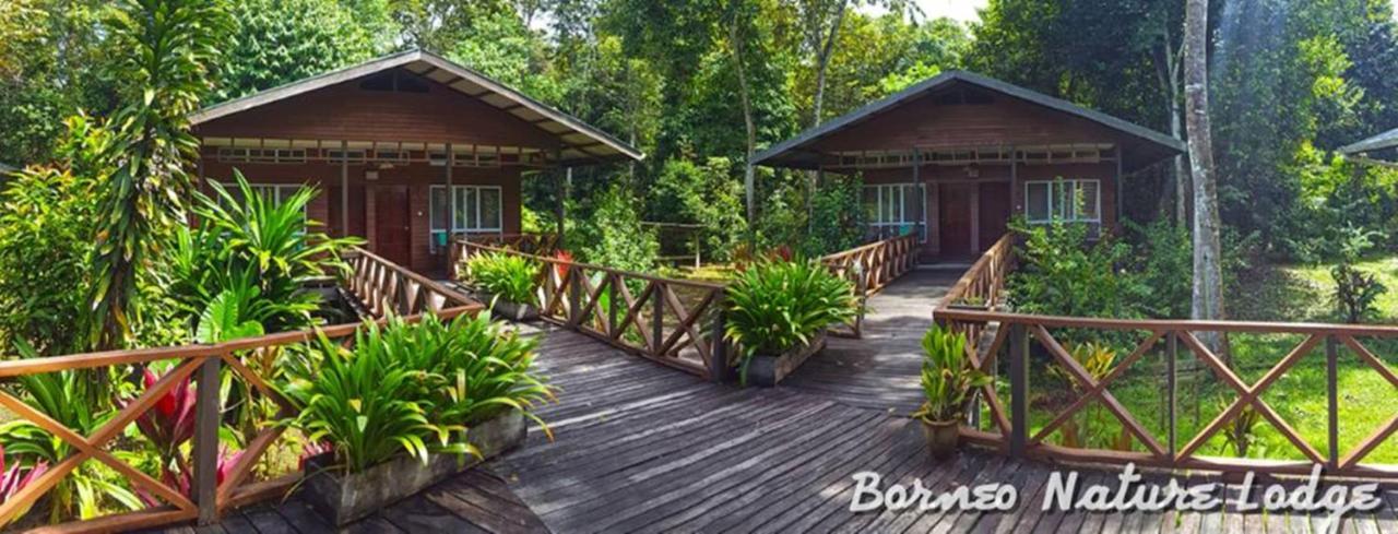 Borneo Nature Lodge Sukau Esterno foto